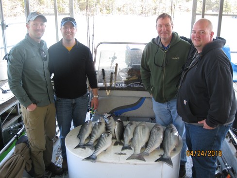 Nice Striped Bass